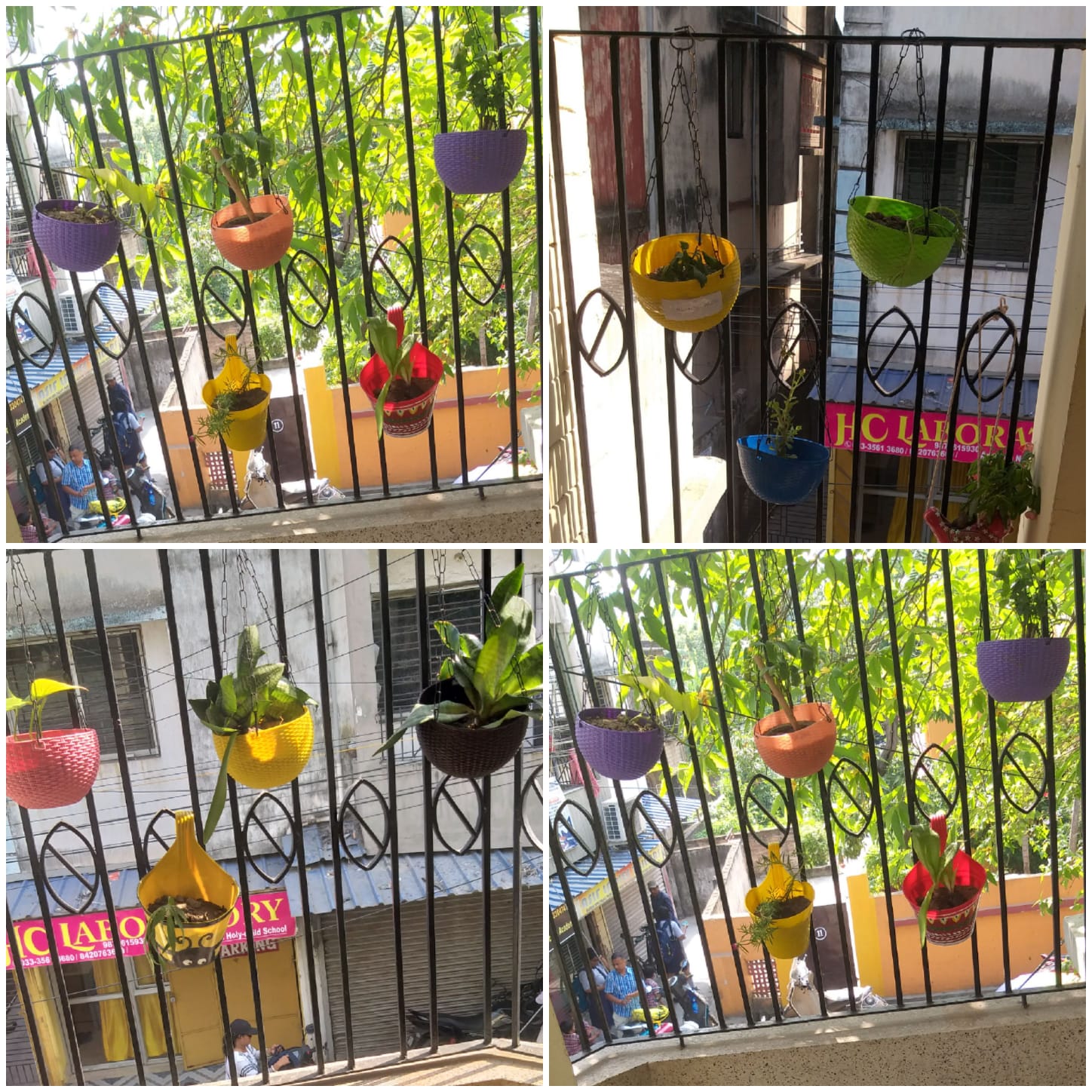 A Day for Earth, A Promise for Tomorrow – Balvatika Celebrates with Heart 